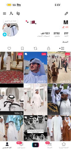 حساب ثنائي تيك توك 