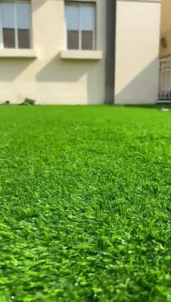 grass