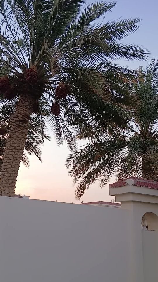 تأهيل الحديقه القديمه وتجديد
