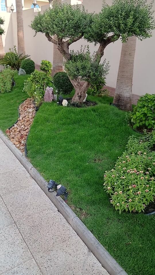 لا داعي للقلق خبير الزراعه