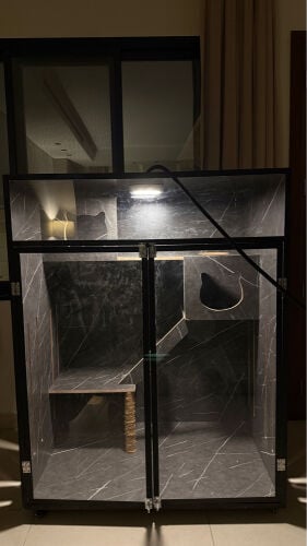 cat cage