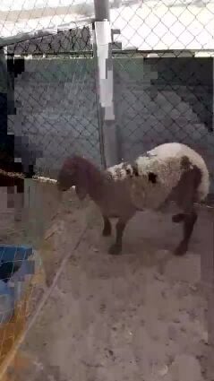 رخله طيبه