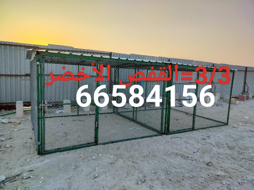 3/3=قفص جديد