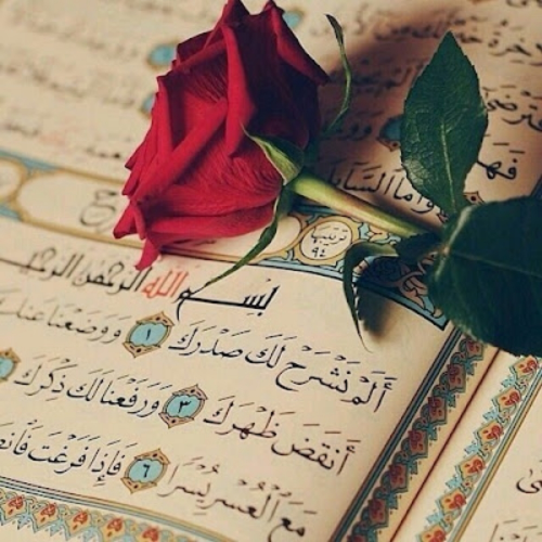محفظة قرآن كريم