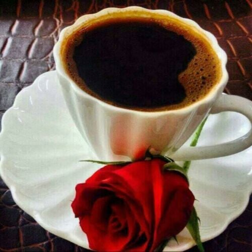 صالح