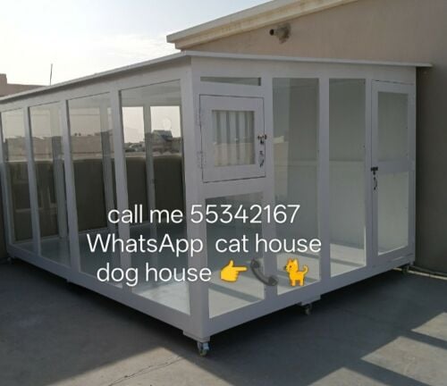 call me 55342167 WhatsApp