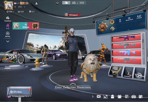Pubg premium account 