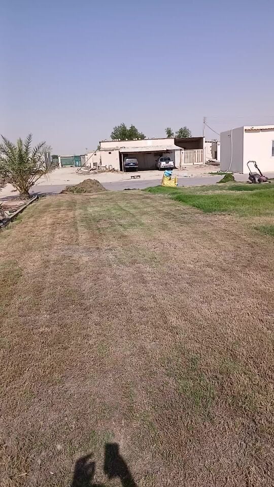 الحدائق القديمه تنظيف وتجديد