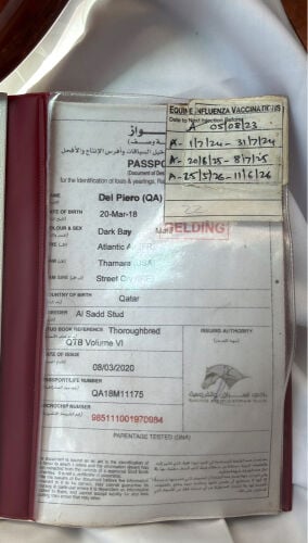 لايوجد اسم