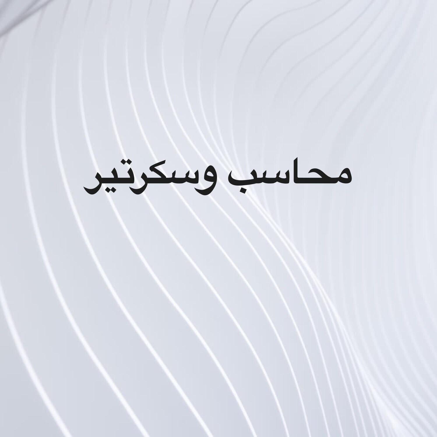 محاسب وسكرتير
