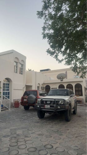 دعامية فتك 