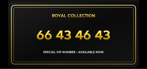 vip number 