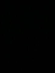 bbq and shawarma cheff