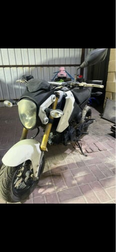 Honda groom 2013