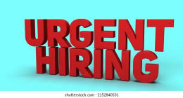 consultant/Agent