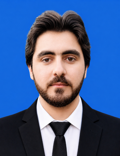 WordPress Developer