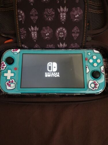 Nintendo switch lite + accessories
