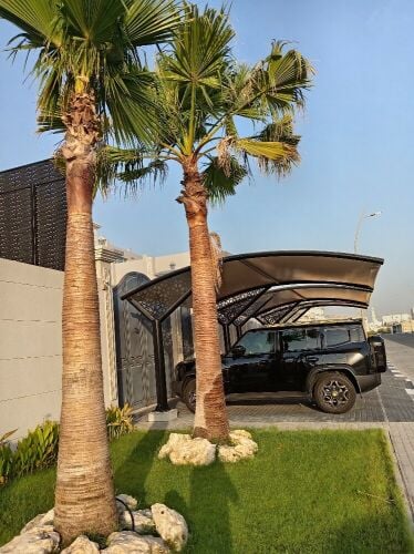زراعه وديكور