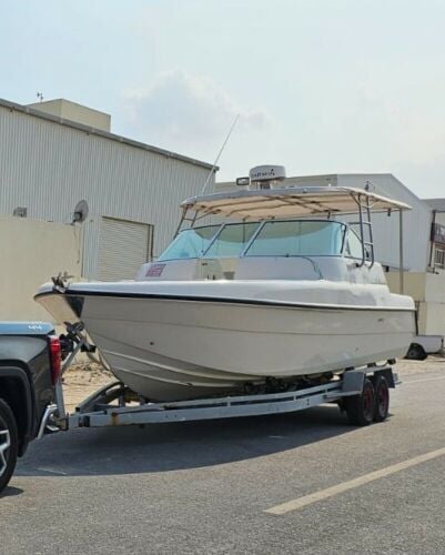 silver craft 31