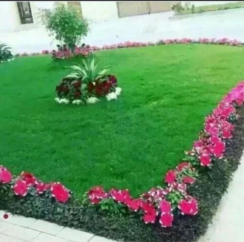 زراعه وديكور