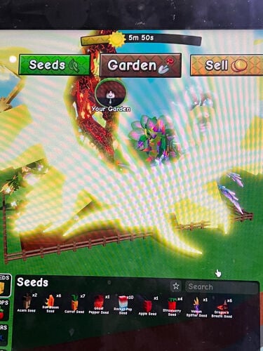 grow a garden