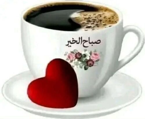 أستاذة علوم عامة