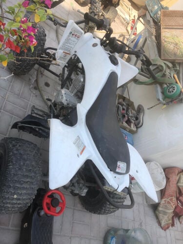 Rare Raptor 125