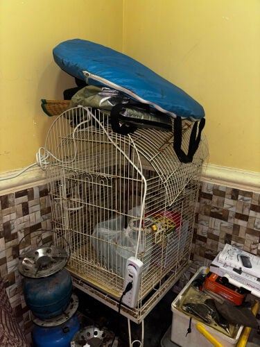 Bird cage for sale 