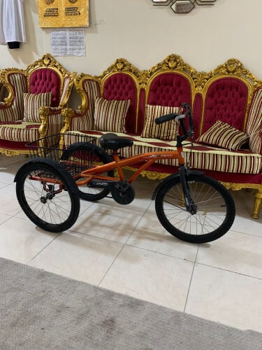 الدراجة