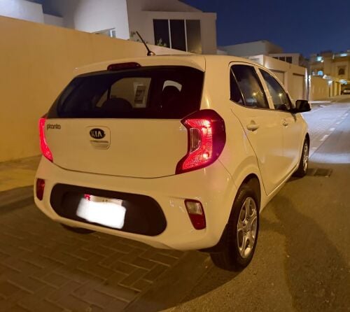 kia pucantp 2019