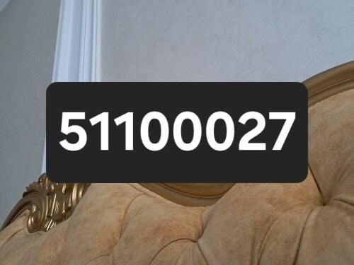 Special Number for Sale: 51100027