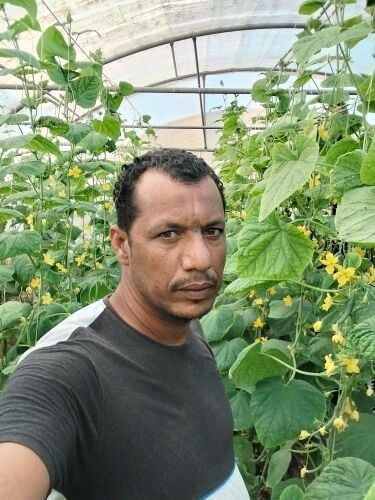 خالد عامر