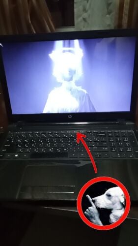 HP Notebook 15 Free figure choose 1