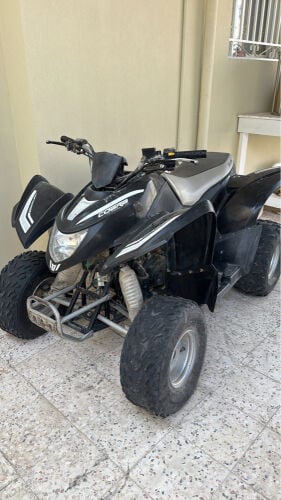 دباب 