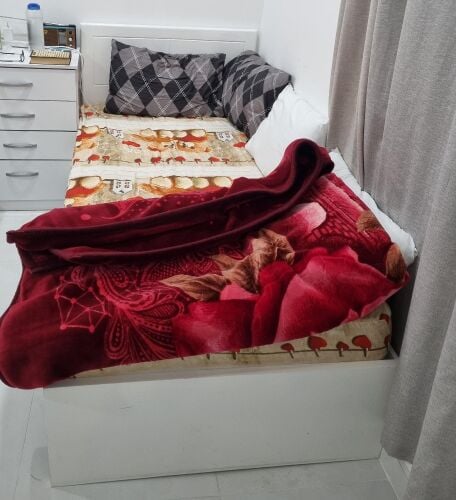 bed