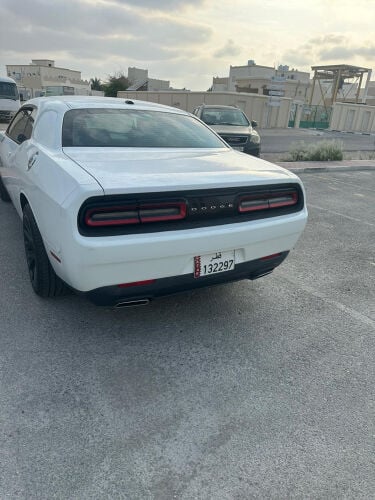 للبيع دوج