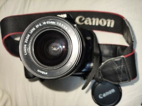 canon 450D