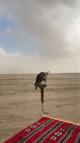 جهاز مارشل