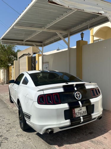 موستنج نظيف جدا 