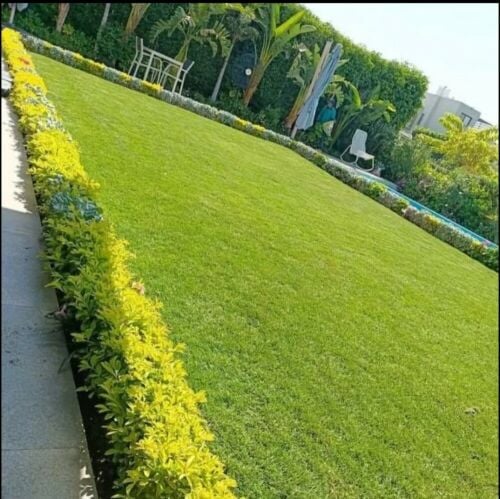 قص وترتيب