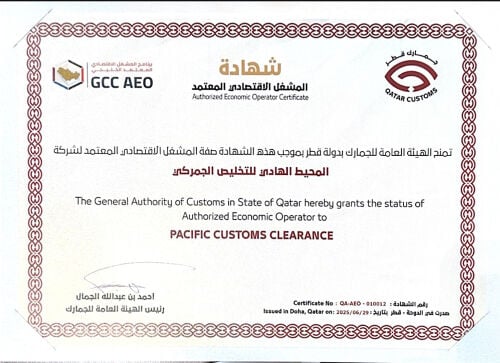 احمد عبدالعزيز 