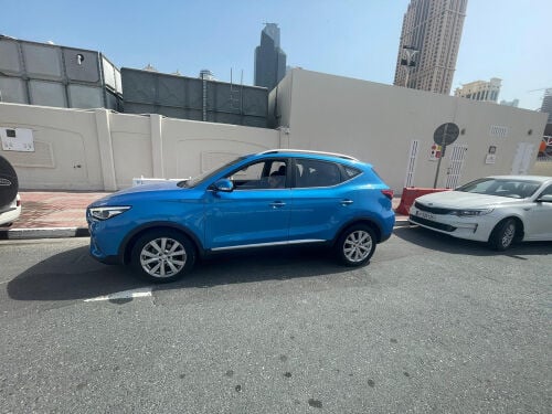 Mg ZS 2022