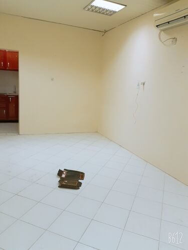 studio in kheesa no commission