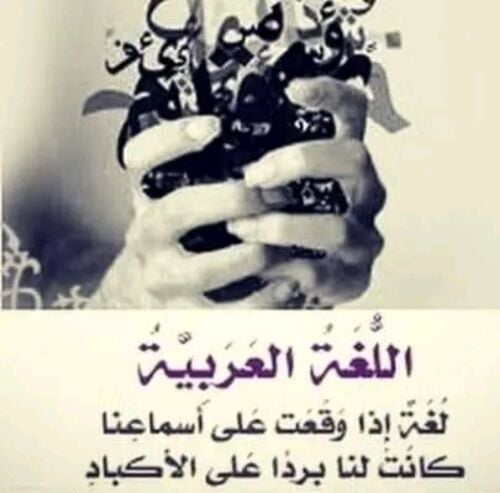 أم محمد