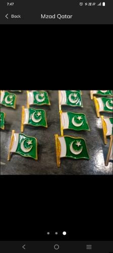 Pakistani Flag Badge Celebration 14