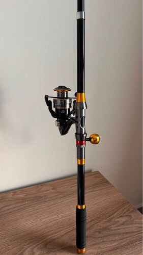 Fishing Rod & Reel