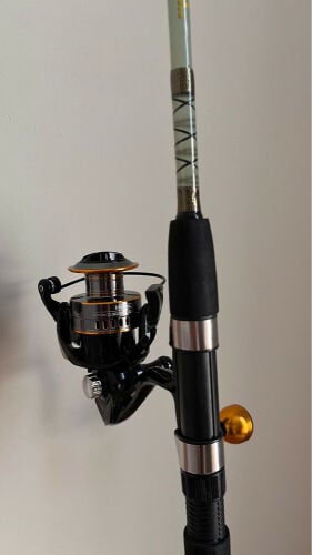fishing rod and reel 