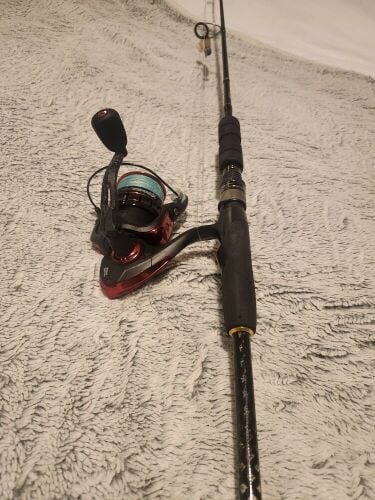 rod and reel