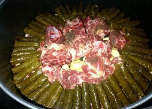 شيف عام