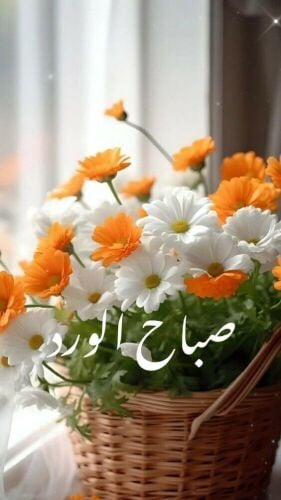 أعتناء بالحديقه بأقل الأسعار
